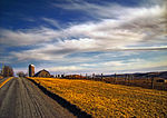 Clifford Township Country Lane